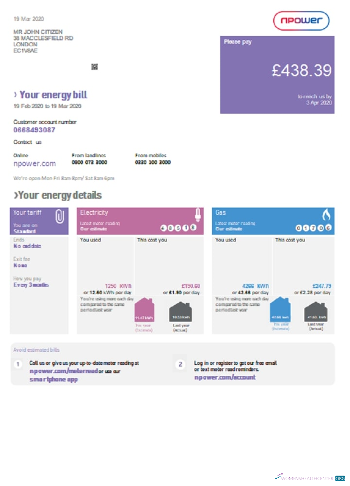 download download United Kingdom Npower utility bill template in Word and PDF format PDF template PDF template